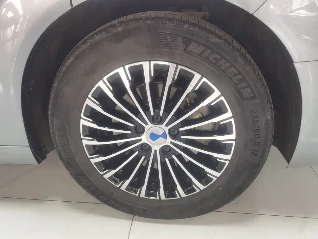 Denza Denza D9 — миниатюра 20