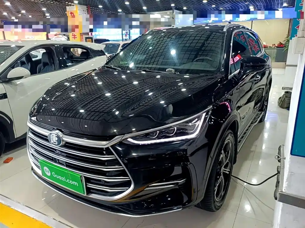 Byd Tang New Energy 2021