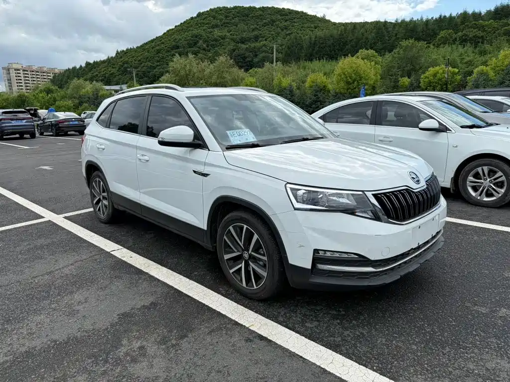 Skoda Kamiq — миниатюра 3