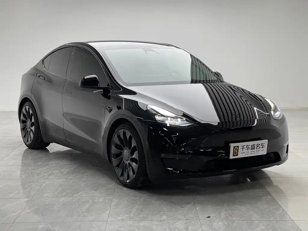 Tesla Model Y — миниатюра 3