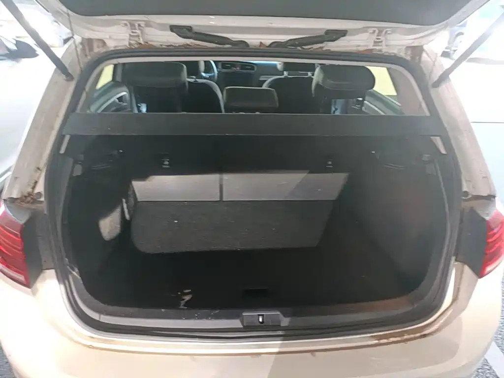 Volkswagen Golf — миниатюра 19