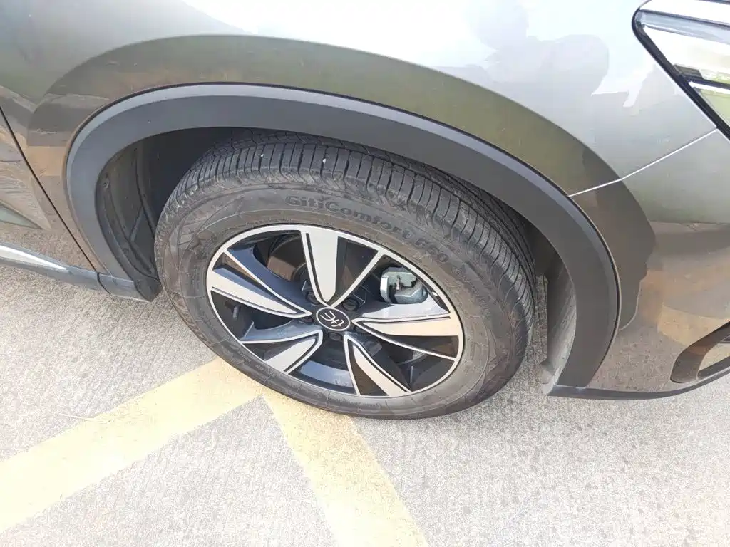 BYD Pro New Energy — миниатюра 25