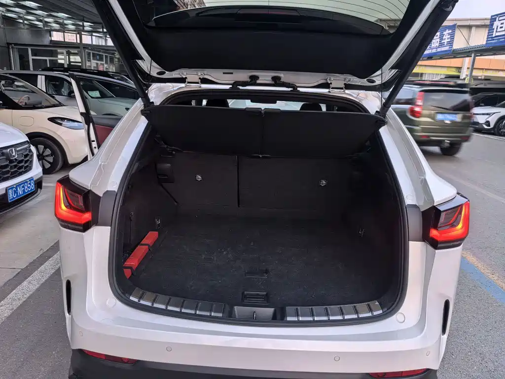 Lexus NX New Energy — миниатюра 14