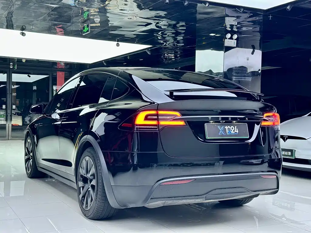 Tesla Model X — миниатюра 6