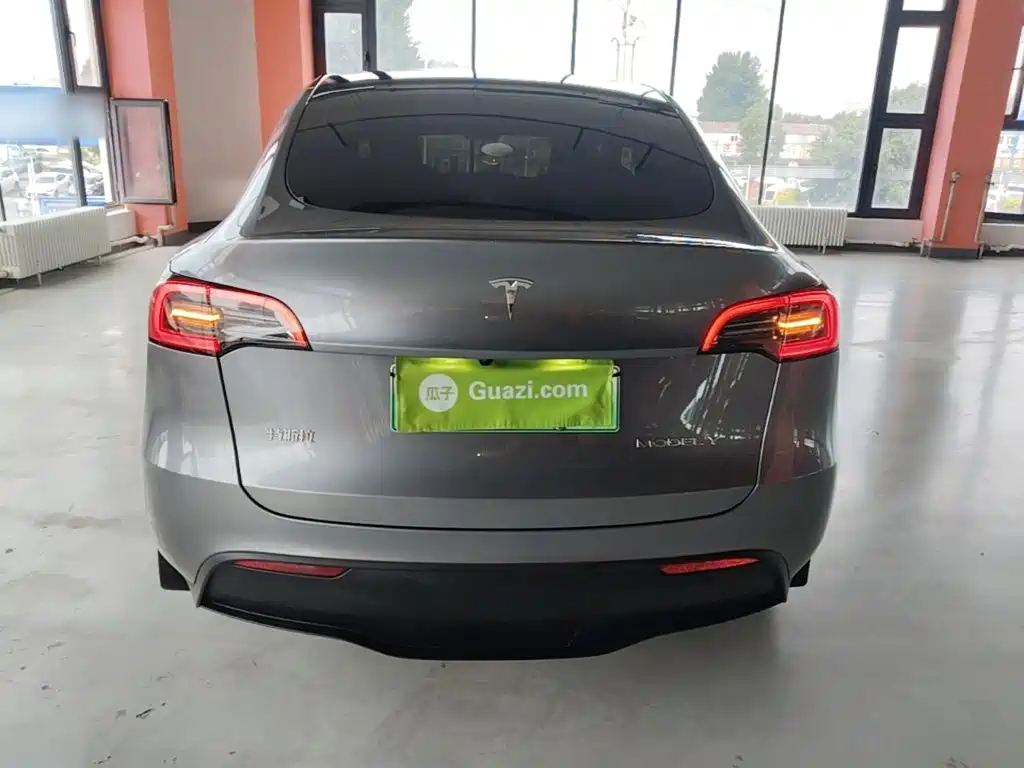 Tesla Model Y — миниатюра 6