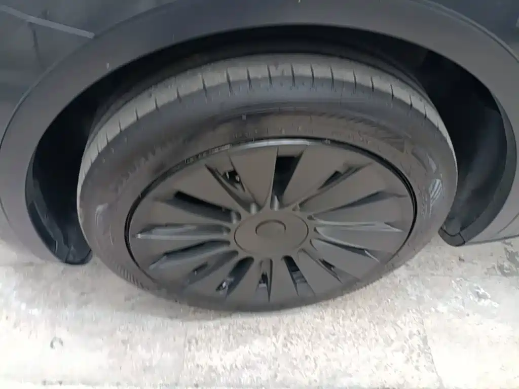 Tesla Model Y — миниатюра 23