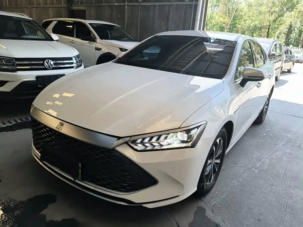 BYD Qin Plus PLUS 2024 DM-i 55KM Lead