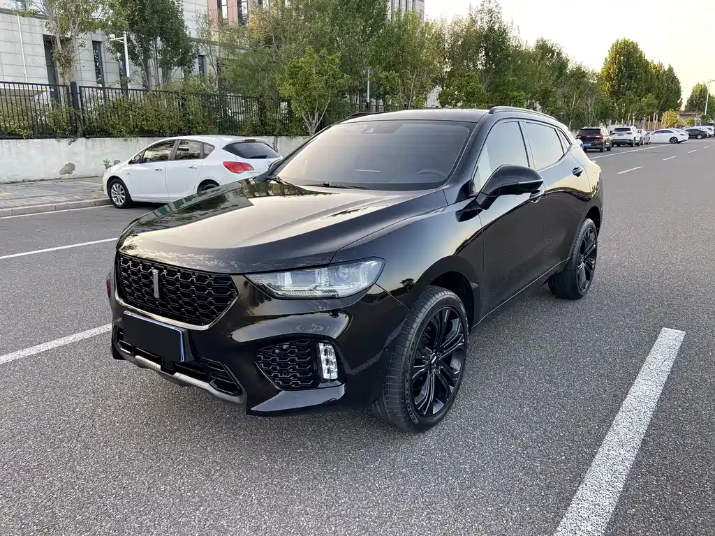 Wey Wey VV5