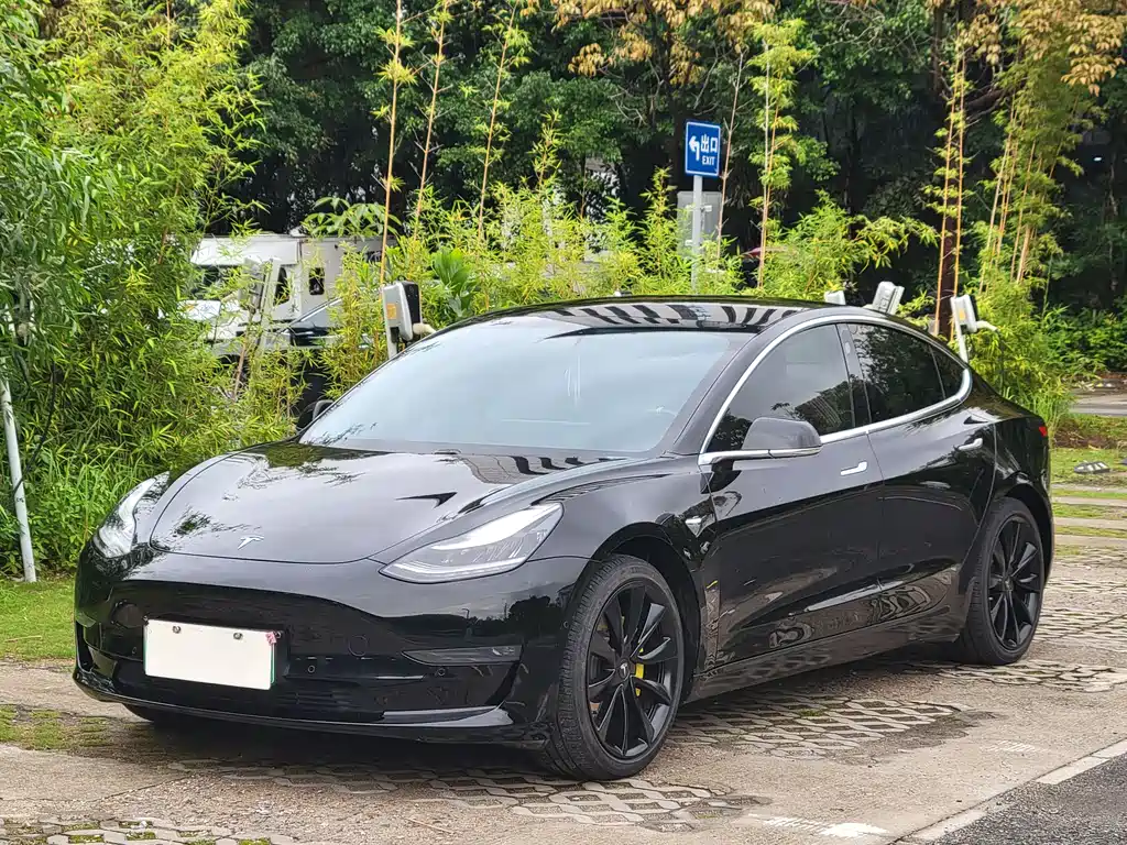 Tesla Model 3 2020