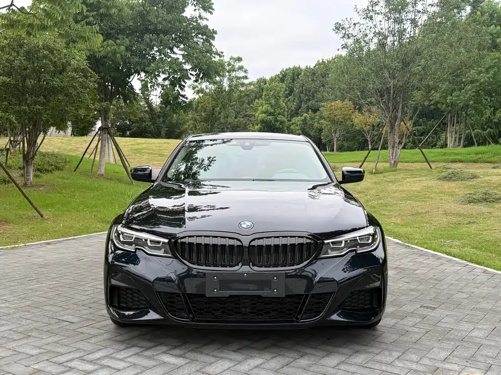 BMW 3 Series — миниатюра 2