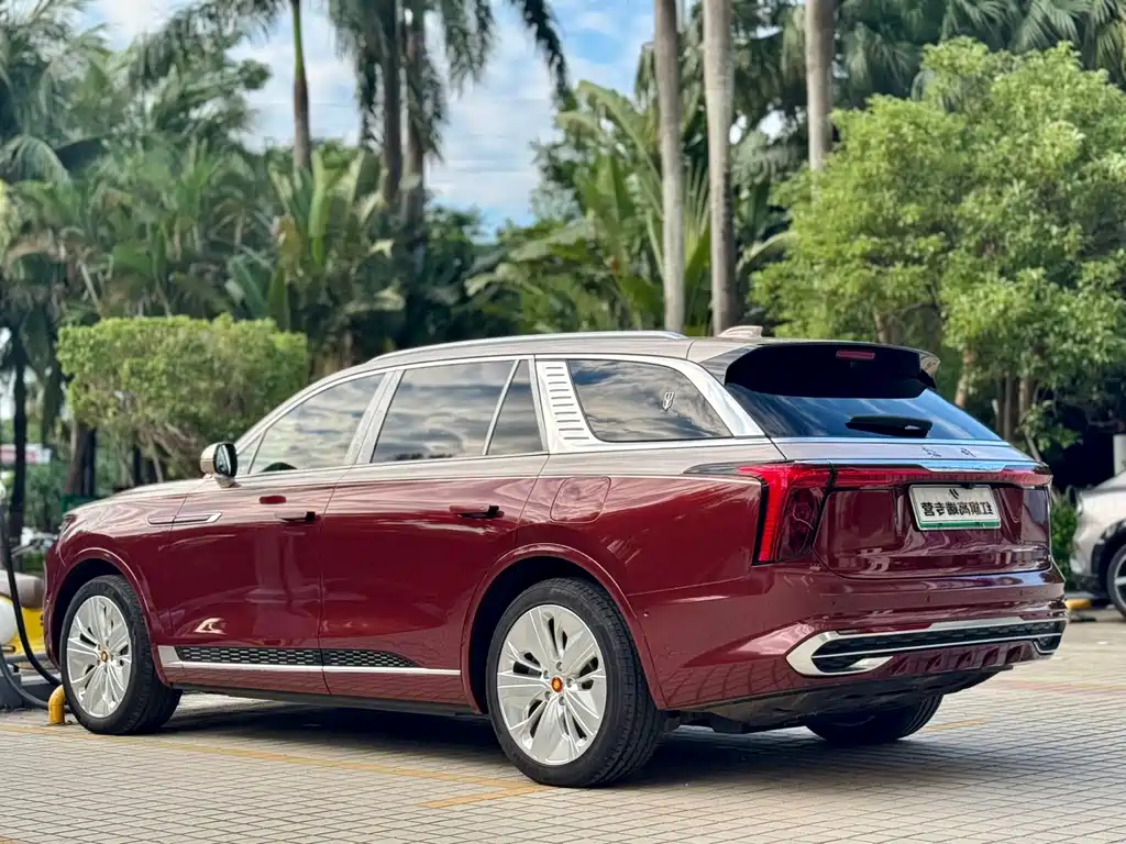 Hongqi Hongqi E-HS9 — миниатюра 22