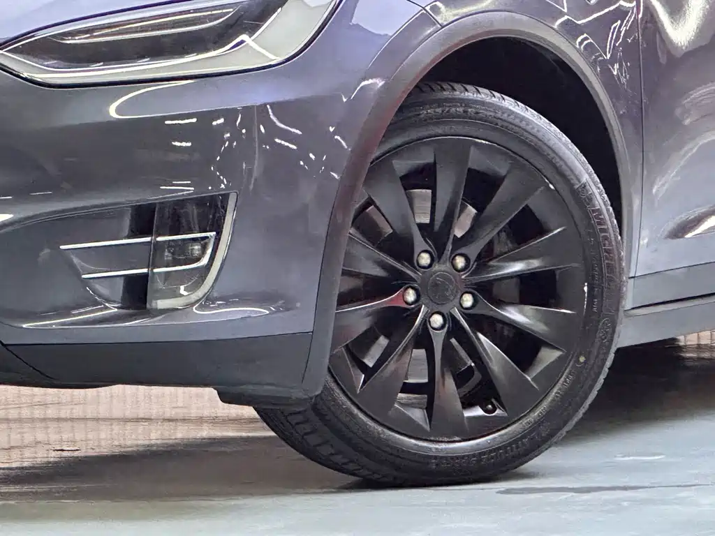 Tesla Model X — миниатюра 4