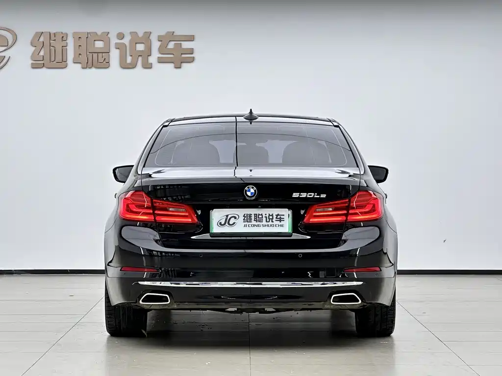 BMW 5 Series New Energy Mileage Upgrade Edition 530Le Luxury Package, фото 4