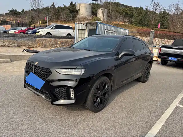 WEI PAI WEI BRAND VV7