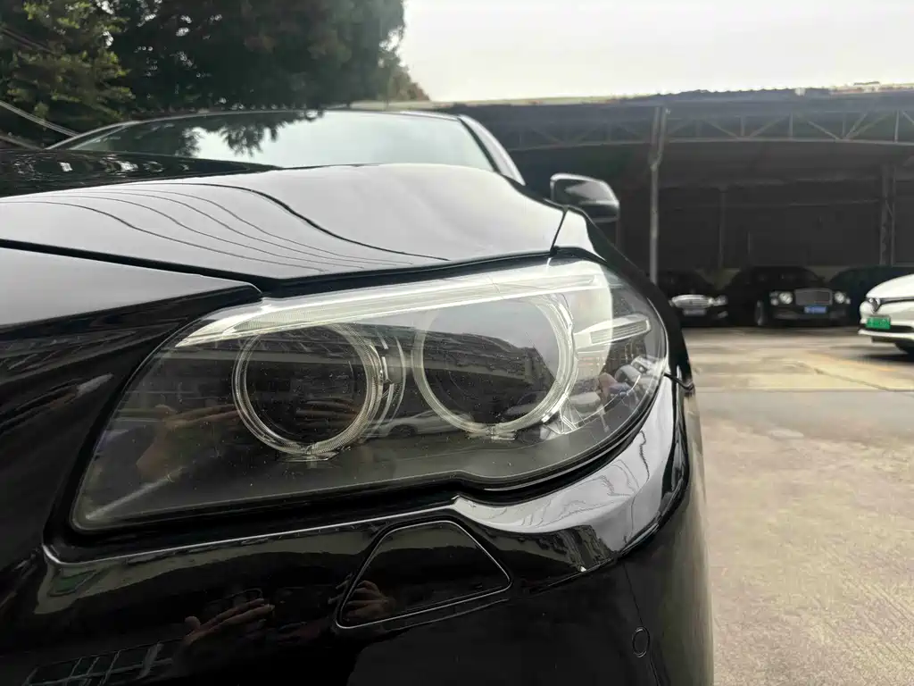 BMW 5 Series 5 2017 525Li Lead