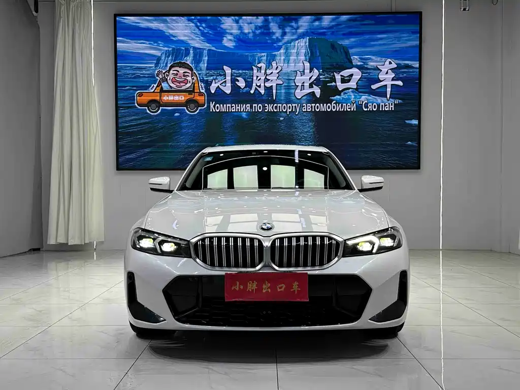 BMW 3 Series — миниатюра 2