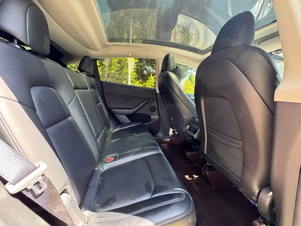 Tesla Model Y — миниатюра 13