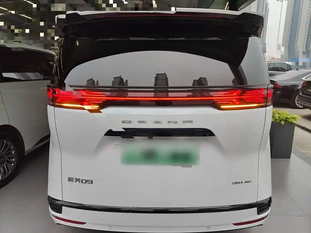 Denza Denza D9 — миниатюра 6