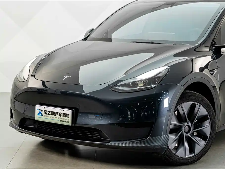 Tesla Model Y — миниатюра 2