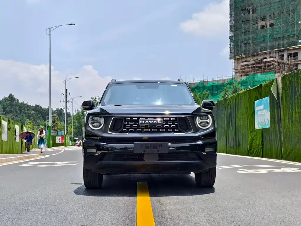 Haval Haval Big Dog PLUS — миниатюра 2