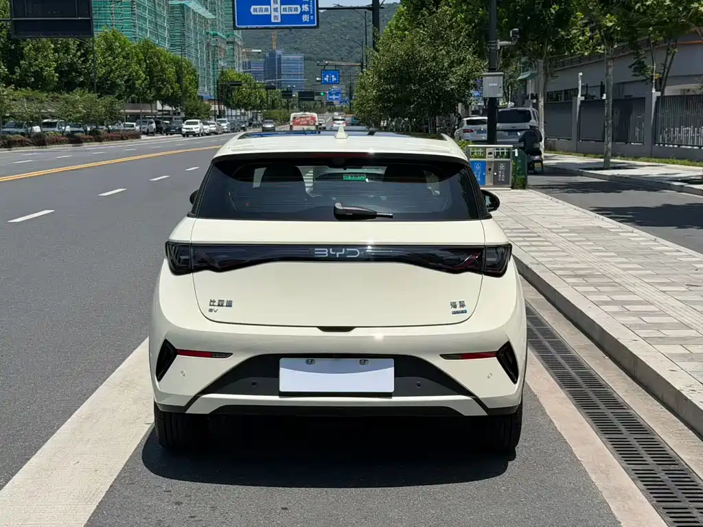 BYD Dolphin 2025 Smart Drive 410km Fashion