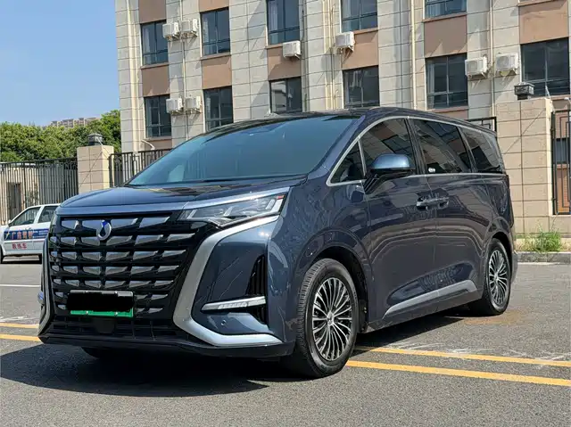 2023 Denza D9