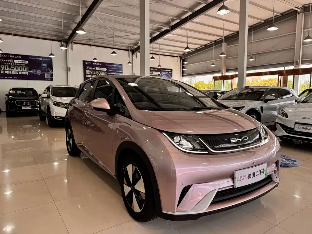 Byd Dolphin 2023
