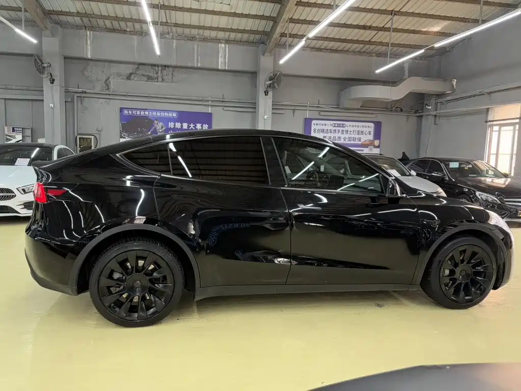 Tesla Model Y — миниатюра 4