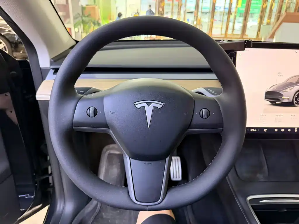 Tesla Model Y — миниатюра 6