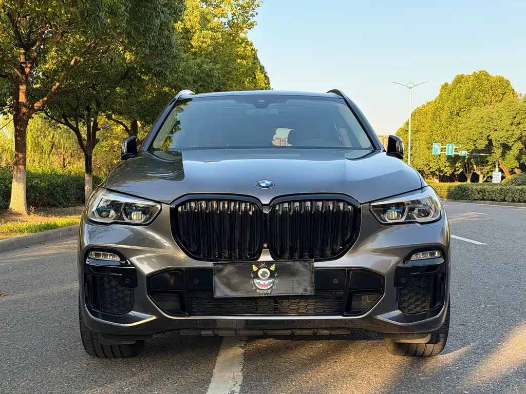 BMW X5 (Import) — миниатюра 2