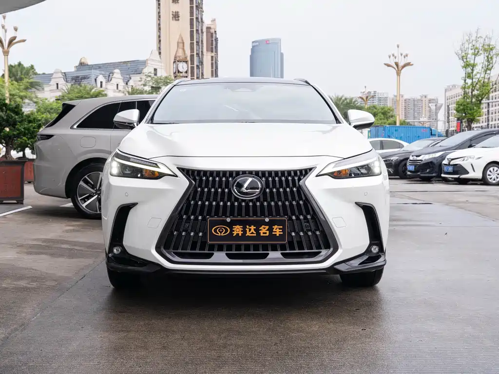 Lexus NX — миниатюра 2