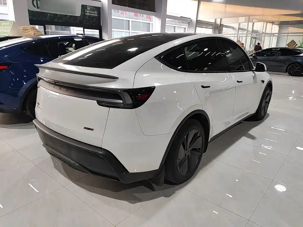 Tesla Model Y — миниатюра 7