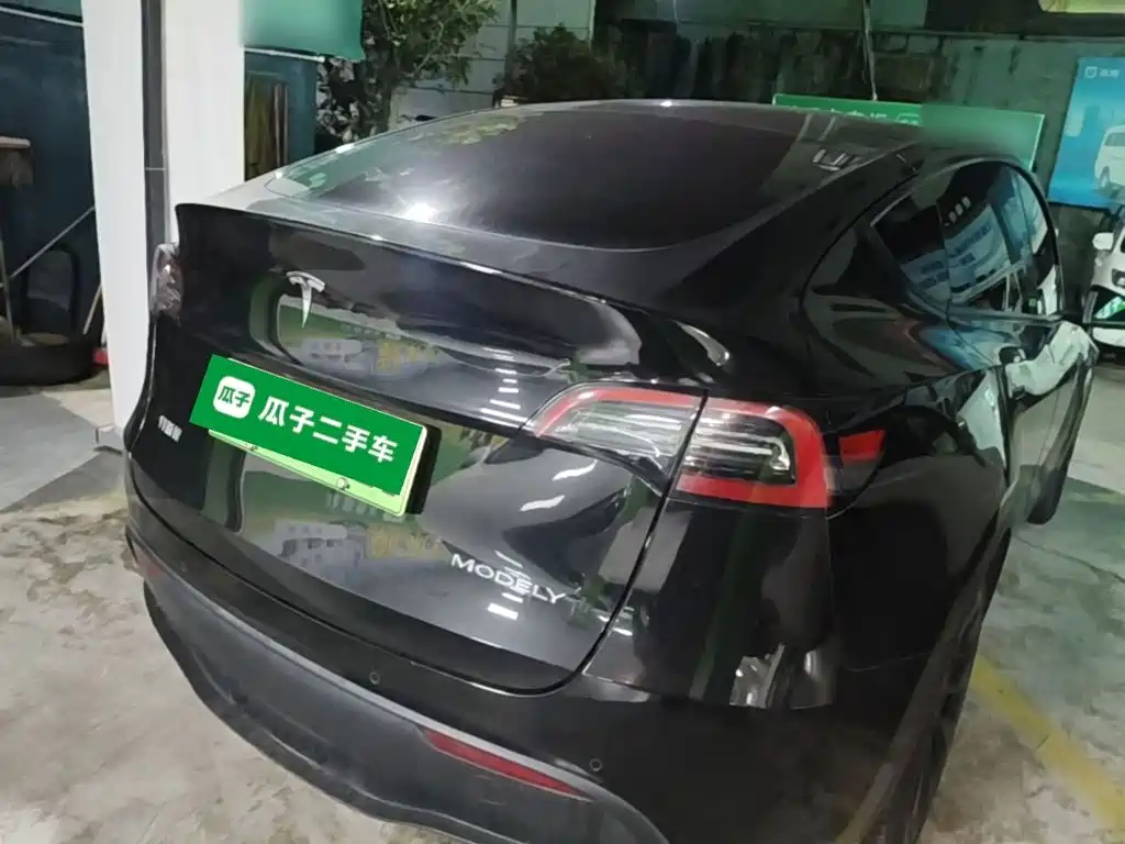 Tesla Model Y — миниатюра 7