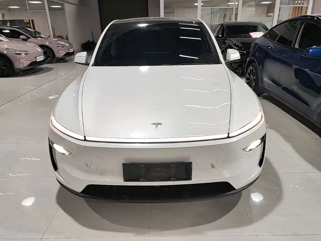 Tesla Model Y — миниатюра 3