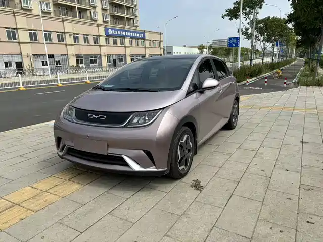 BYD DOLPHIN