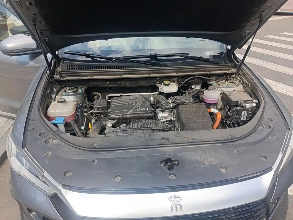BYD Pro New Energy — миниатюра 16