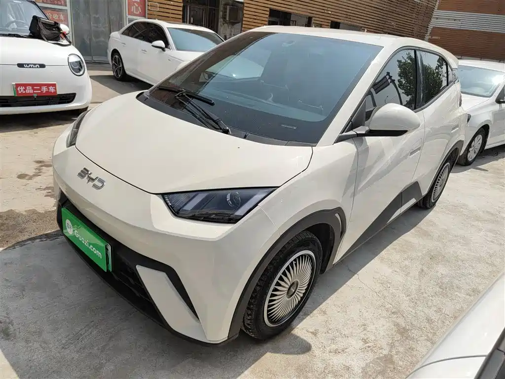 Byd Seagull 2024