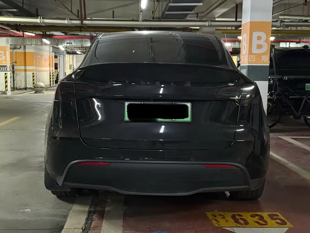 Tesla Model Y — миниатюра 16