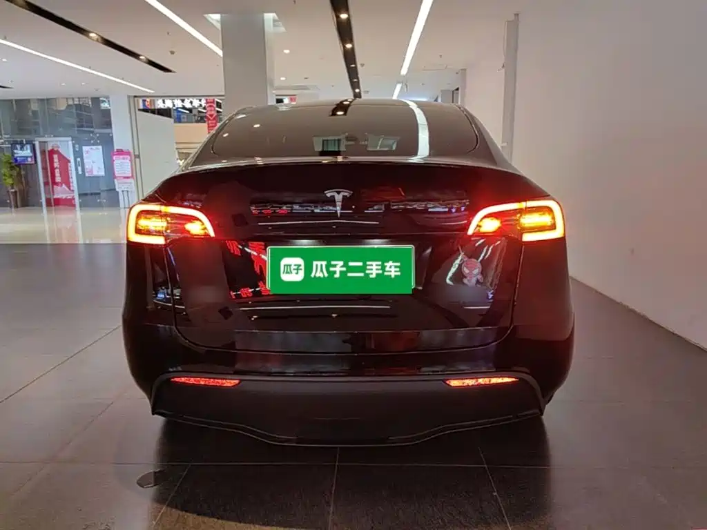 Tesla Model Y — миниатюра 6
