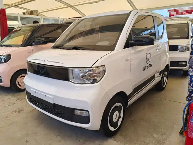 2022 Wuling Motors Hongguang Mini EV