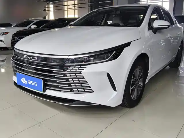 2025 BYD Destroyer