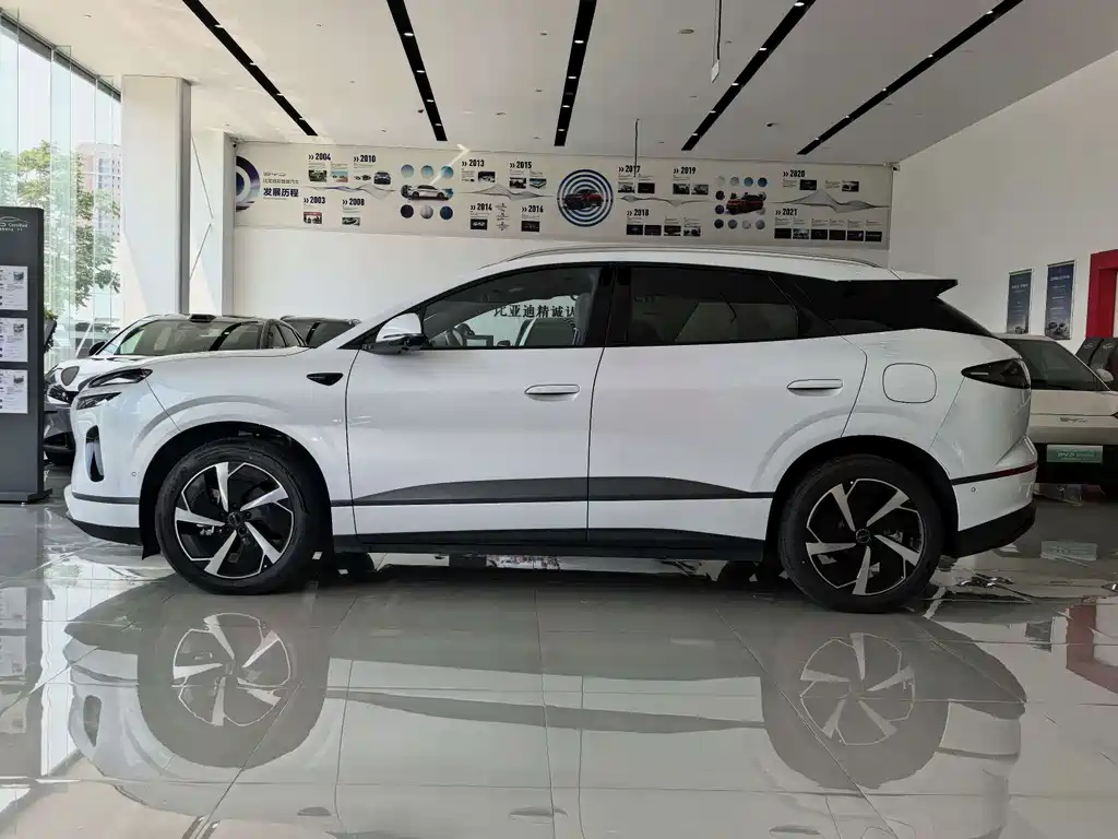BYD Haisi 06 — миниатюра 2