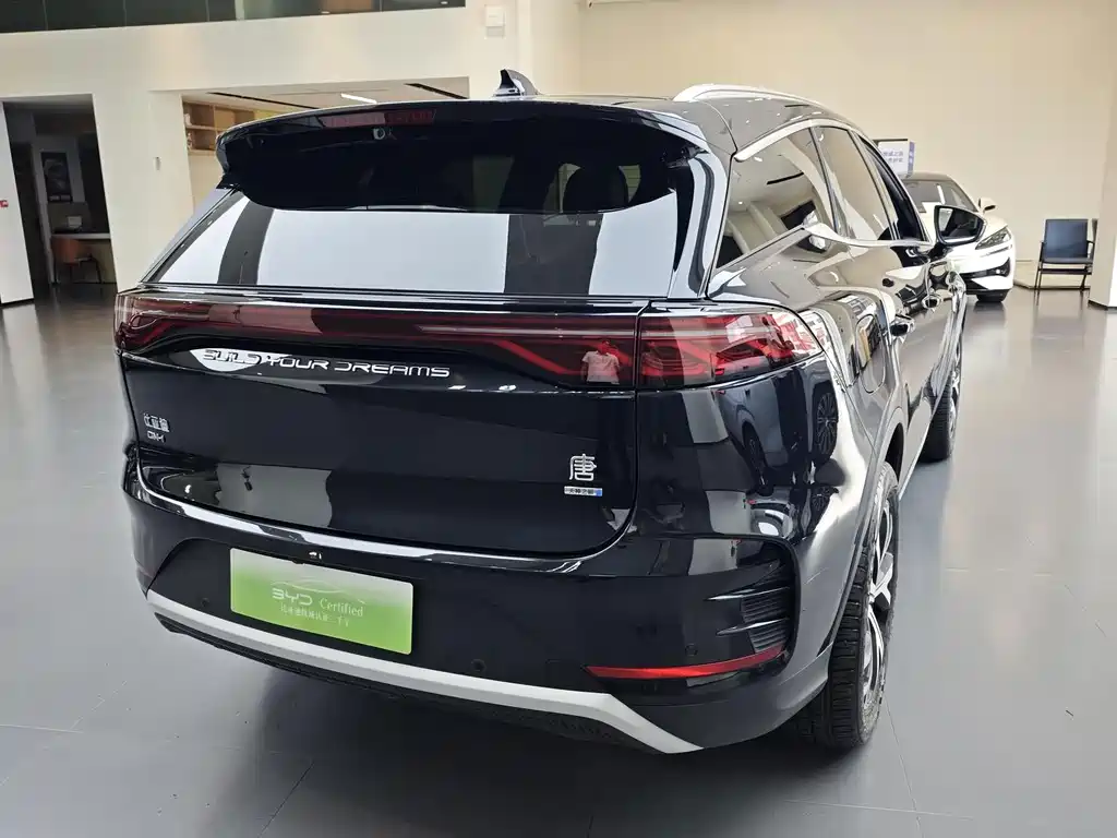 BYD Tang New Energy — миниатюра 6