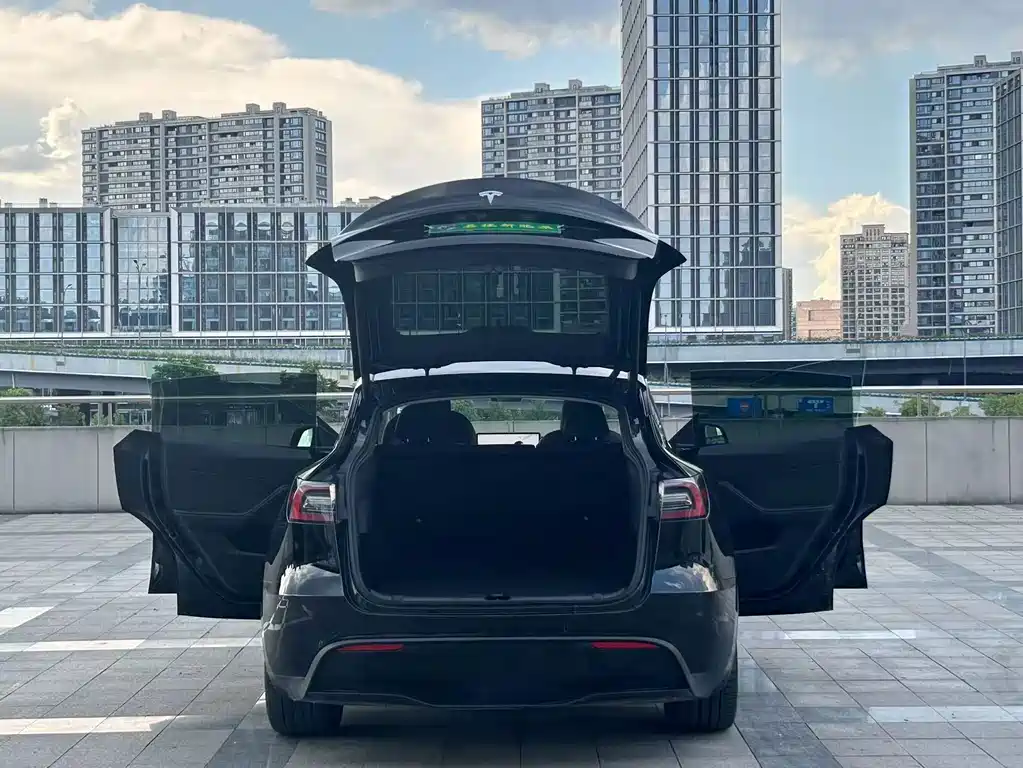 Tesla Model Y — миниатюра 5