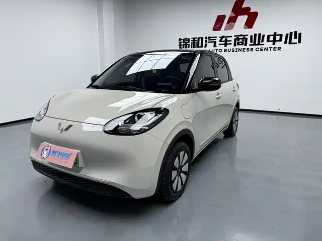 2025 Wuling Motors Binguo