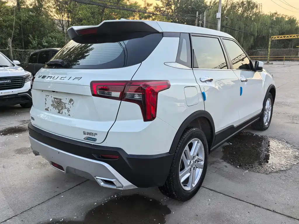 Venucia T60 2020 1.6L CVT VI