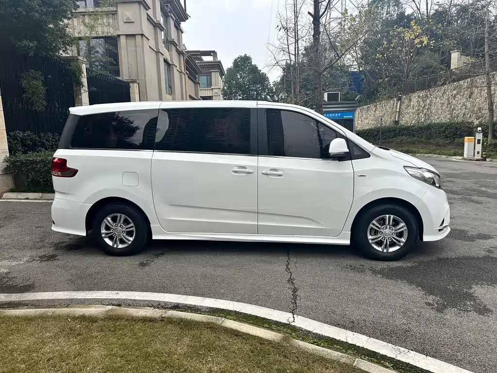 SAIC MAXUS CHASE G10