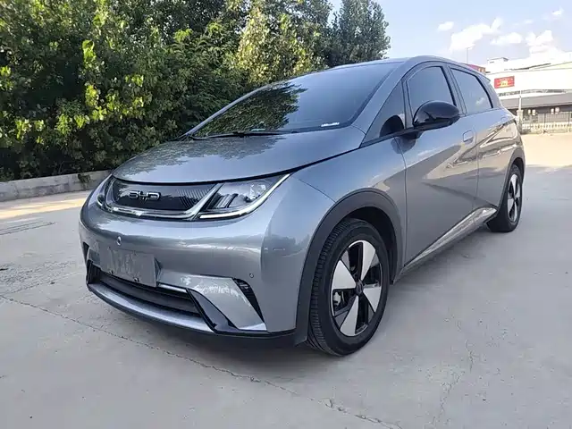 2023 BYD Dolphin