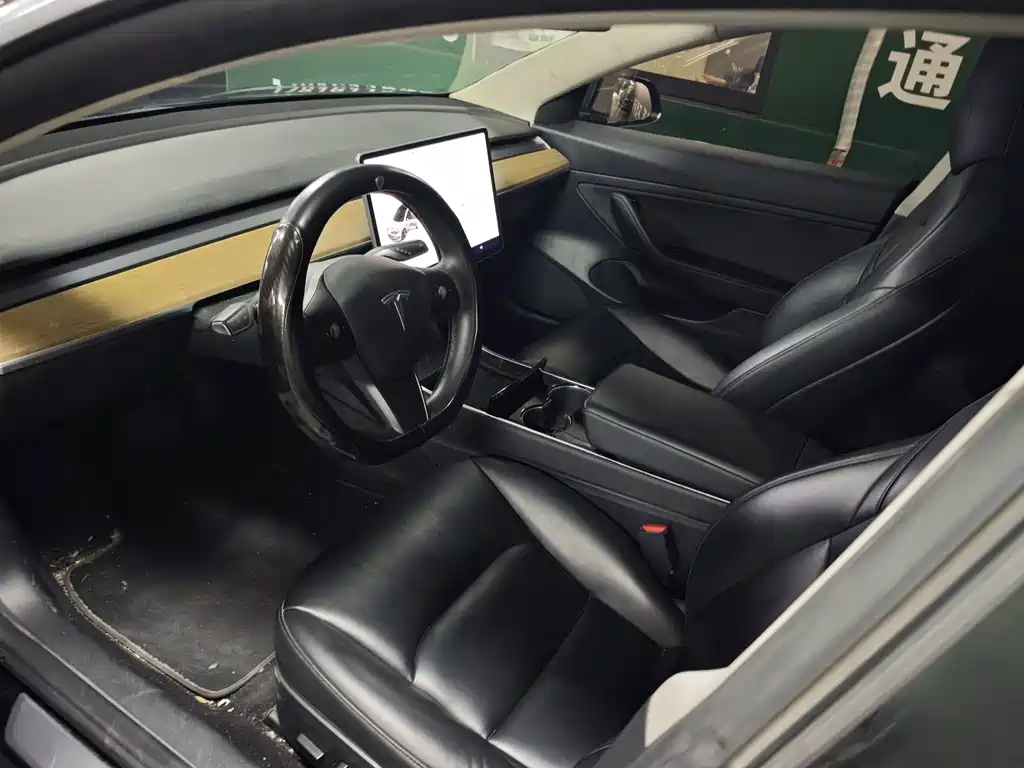 Tesla Model 3 — миниатюра 14