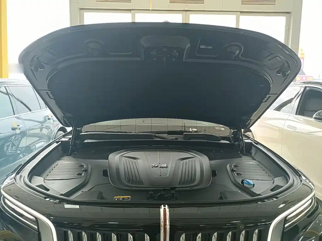 Hongqi Hongqi E-HS9 — миниатюра 20